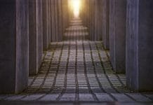 LOMLOE, currículum i Història