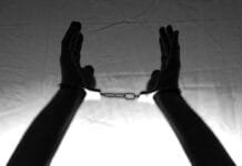 Pensament Alicia (i II)