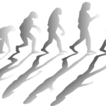 evolución