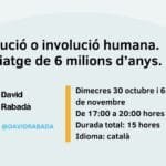 David_evolució